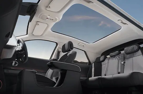 Vision Roof