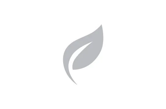 performa hyundai palisade