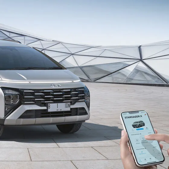 bluelink hyundai stargazer x